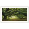 "Passage" By Moises Levy, Ready to Hang Framed Print, White Frame